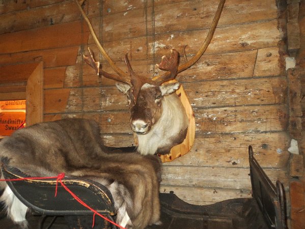 2013_Norwegen_IMG_1011 (363)